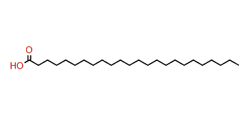 Tetracosanoic acid